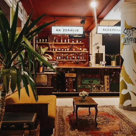 Party Zzz Albergue *